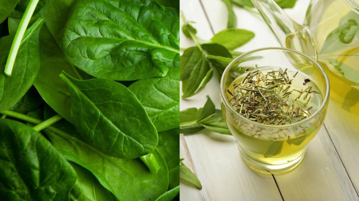 Plante pour améliorer la vue et diminuer la fatigue des écrans